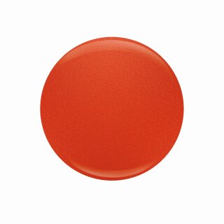 Entity Color-Couture "Bouquet Of Gerbera Daisies"