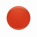 Entity Color-Couture "Bouquet Of Gerbera Daisies"