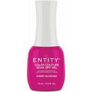 Entity Color-Couture "Cheer-Y Blossoms"