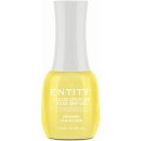 Entity Color-Couture "Designer Dan-de-Lyon" 