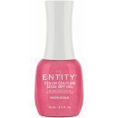 Entity Color-Couture "Modelesque" 