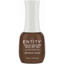 Entity Color-Couture "Paparazzi Jungle"