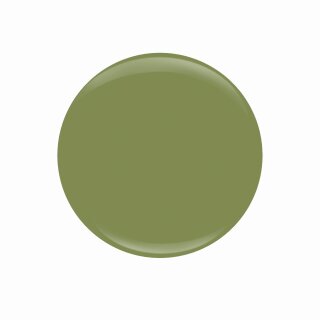 ENTITY Colored Powders "Jade Camouflage" 7gr