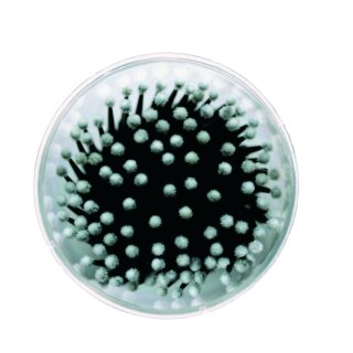 LB Micro-Wattestäbchen 100 St.