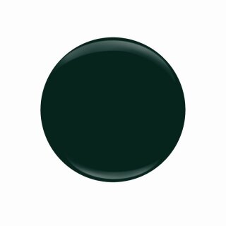 Entity Color-Couture + Lacquer - Fall 2019 Collection "Style Reimagined"