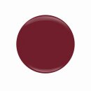 Entity Color-Couture + Lacquer - Winter 2019 Collection...