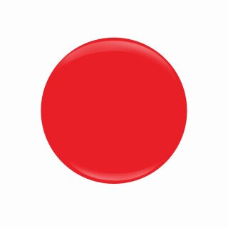 Entity Color-Couture + Lacquer - Summer 2020 Collection "Hot off the Runway"