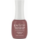 Entity Color-Couture  "STEPPING OUT IN STYLE"