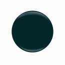 Entity Color-Couture "OWN THE ROOM "