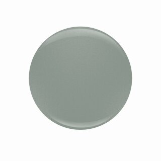 Entity Color-Couture + Lacquer - Spring 2021 Collection  "New Day"