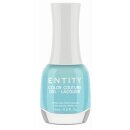 Kopie von Entity Gel Lacquer "HIT THE SWITCH" 