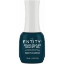 Entity Color-Couture + Lacquer - Winter 2021 Collection...