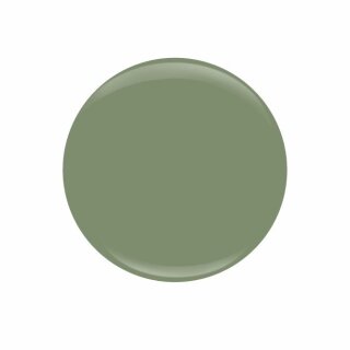 Entity Color-Couture 15ml "WHY NOT"