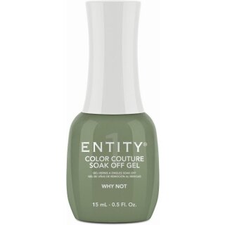 Entity Color-Couture 15ml "WHY NOT"