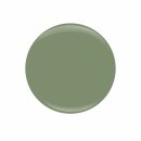 Entity Gel Lacquer "WHY NOT" 15ml