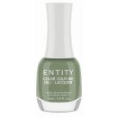 Entity Gel Lacquer "WHY NOT" 15ml
