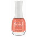 Entity Gel Lacquer "ILL TAKE IT" 15ml