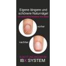 IBX Werbe-Flyer schwarz 20St