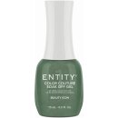 Entity Color-Couture "Beauty Icon"